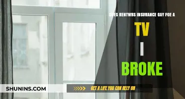 Does Renters Insurance Cover a TV You Accidentally Broke?