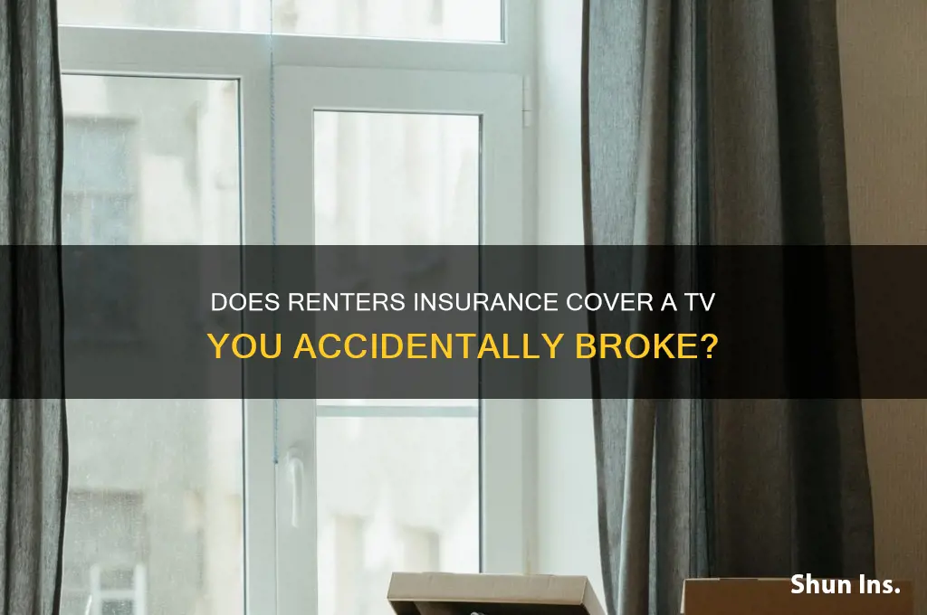 does rentwrs insurance oay foe a tv i broke
