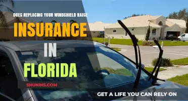 Windshield Replacement: Florida Insurance Hike or Myth?