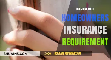 Ring Devices: Do They Meet Home Insurance Criteria?