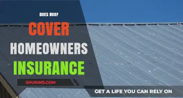 Roof Repairs: Are You Covered by Home Insurance?