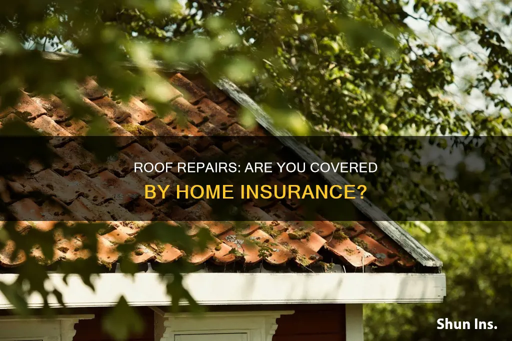 does roof cover homeowners insurance
