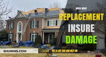 Does Roof Replacement Insurance Cover Damage? What You Need to Know
