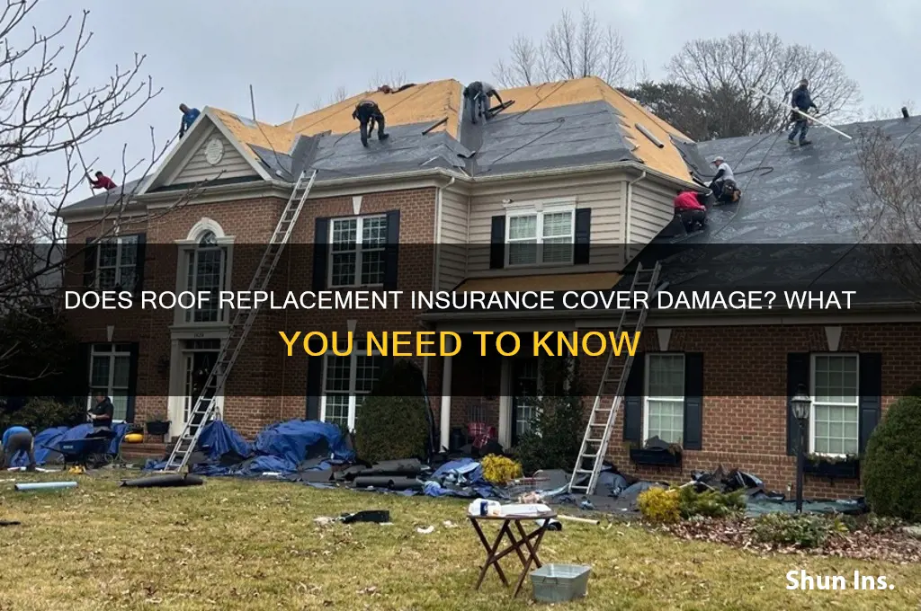 does roof replacement insure damage
