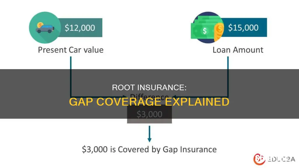 does root have gap insurance