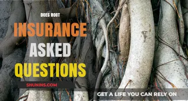 Root Insurance FAQs: Common Questions Answered for Policyholders