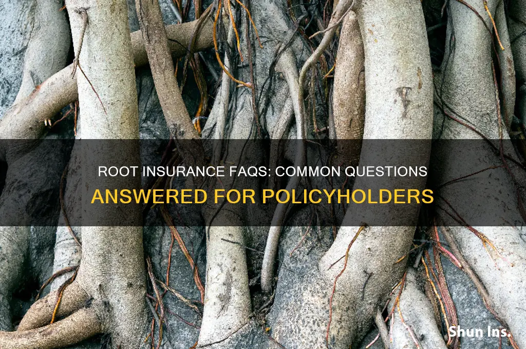 does root insurance asked questions