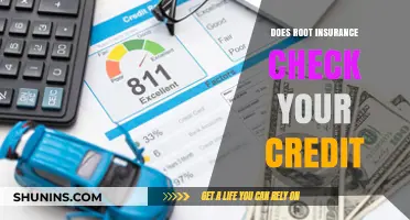 Root Insurance: Credit Checks and You