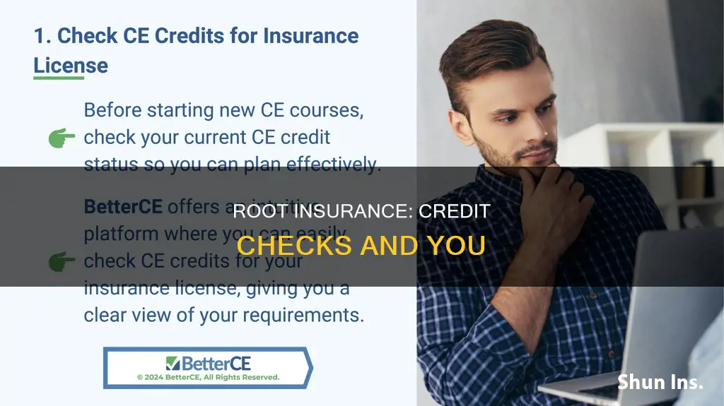 does root insurance check your credit