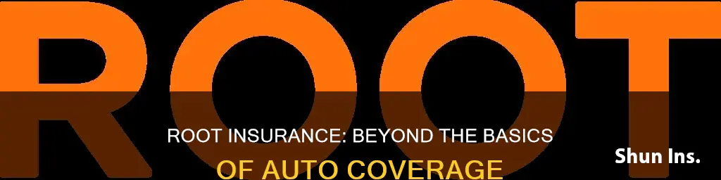 does root insurance do more than auto ins