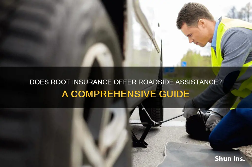does root insurance have roadside assistance