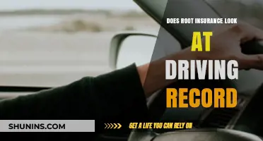 Does Root Insurance Check Driving Records? What You Need to Know
