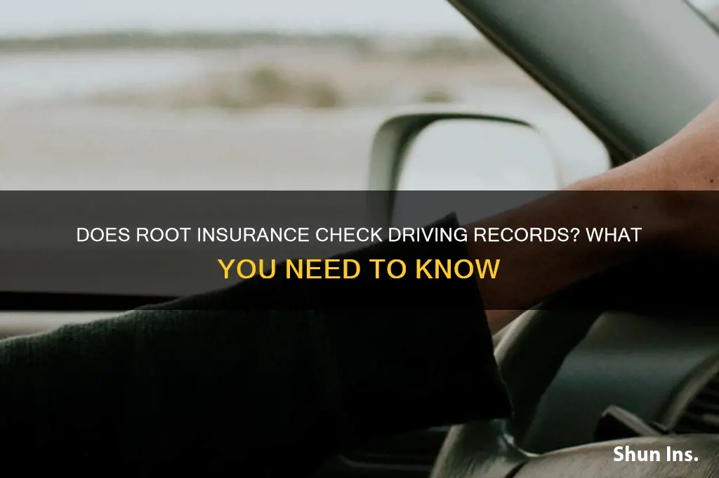 does root insurance look at driving record