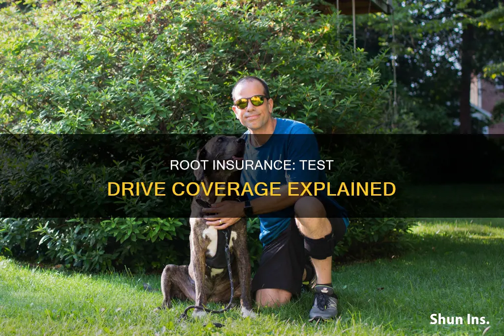 does root insurance your test drive