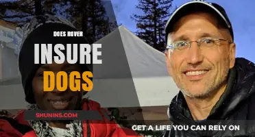 Does Rover Insure Dogs? Understanding Pet Care Coverage and Liability