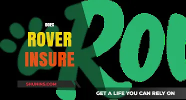 Does Rover Insurance Cover Your Pet Sitter? What You Need to Know