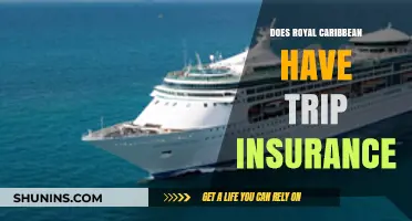 Royal Caribbean Trip Insurance: What You Need to Know Before Sailing