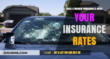 Windshield Damage: Insurance Rates and Repair Claims