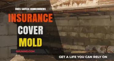 Safeco Homeowners Insurance: What Mold Coverage is Offered?