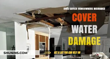 Safeco Homeowners Insurance: What Water Damage is Covered?