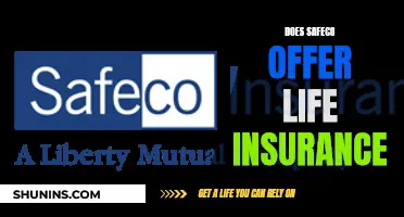 Safeco's Life Insurance Offerings: What You Need to Know