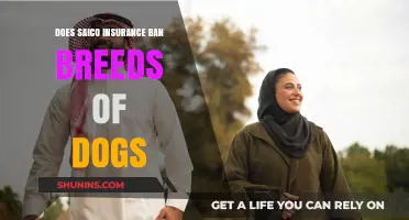 Saico Insurance Breed Restrictions: Which Dogs Are Banned?