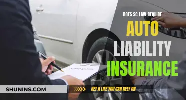 South Carolina Auto Insurance Requirements: Understanding the Law