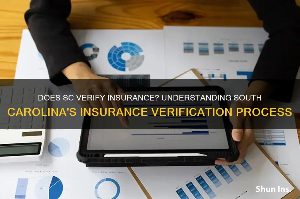does sc verify insurance