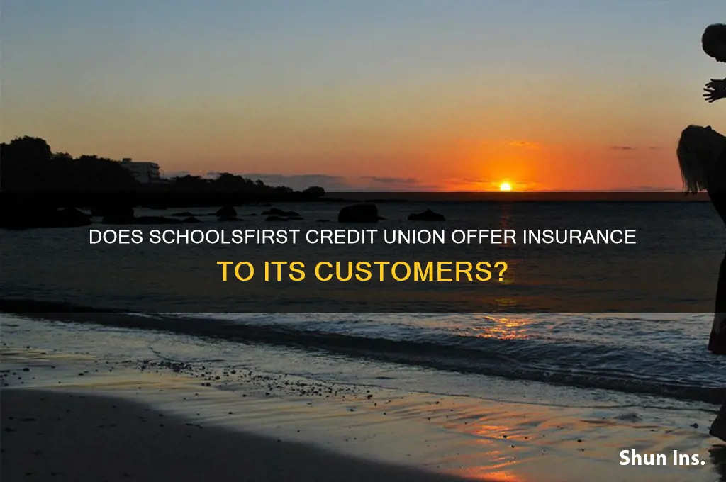 does schools first credit union insure its customers