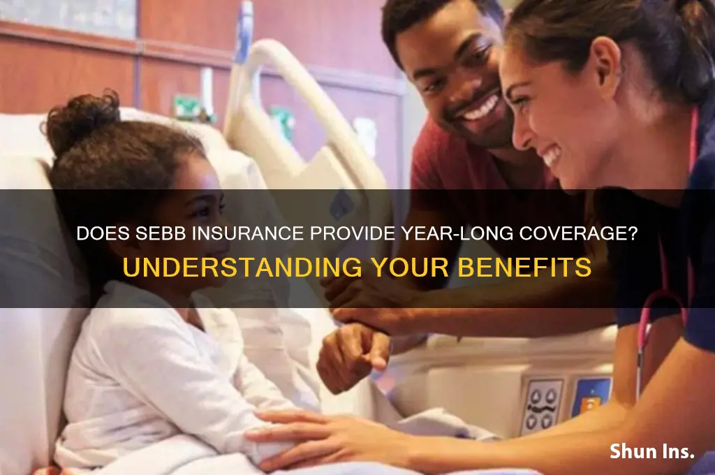 does sebb insurance last a whole year