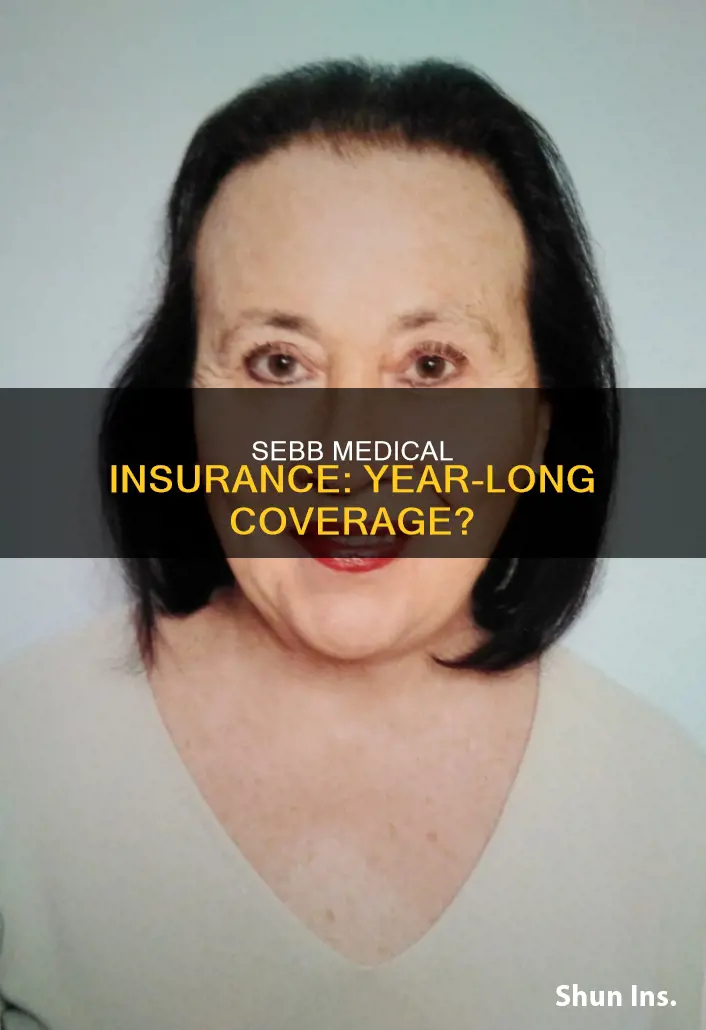does sebb medical insurance last a whole year