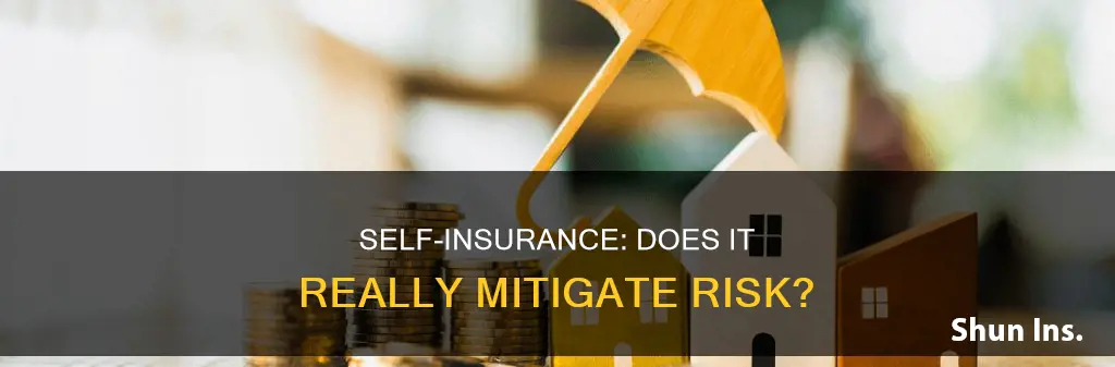 does self insurance eliminate risk
