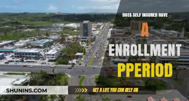 Understanding Self-Insured Plans: Enrollment Periods Explained