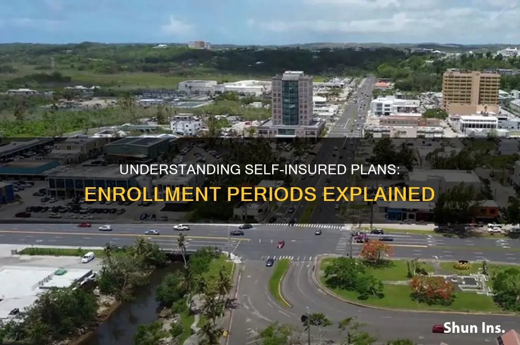 does self insured have a enrollment pperiod