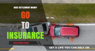 Settlement Money: Insurance or Claimant's Pocket?
