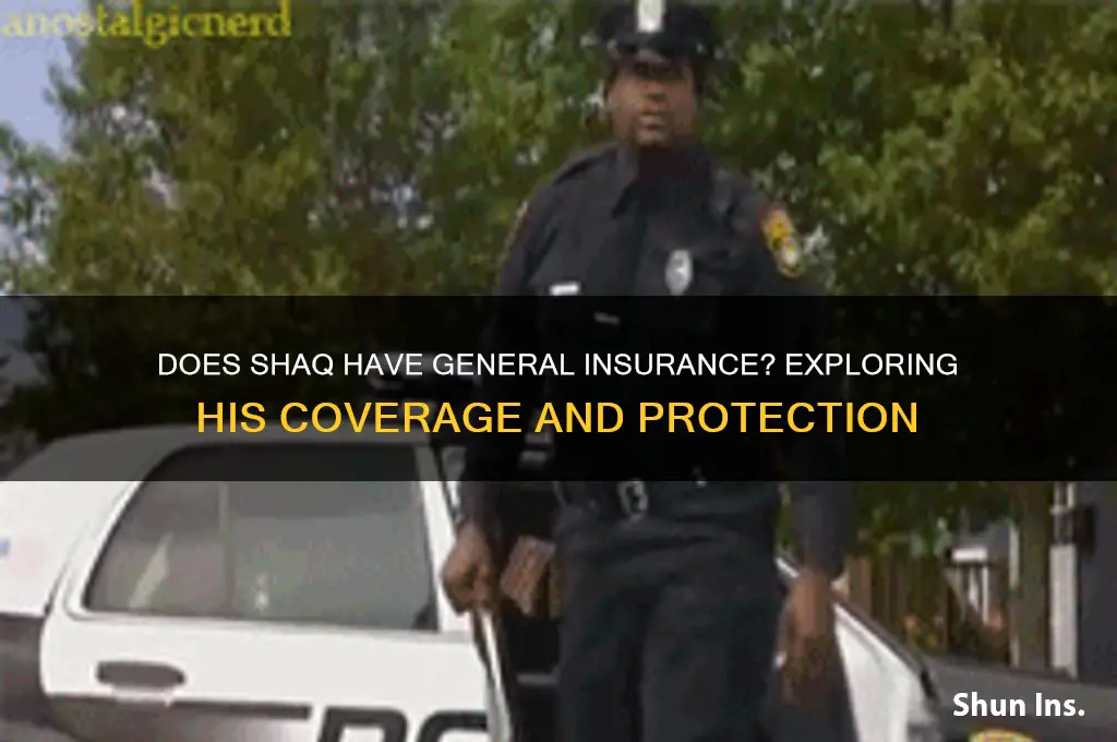 does shaq have general insurance