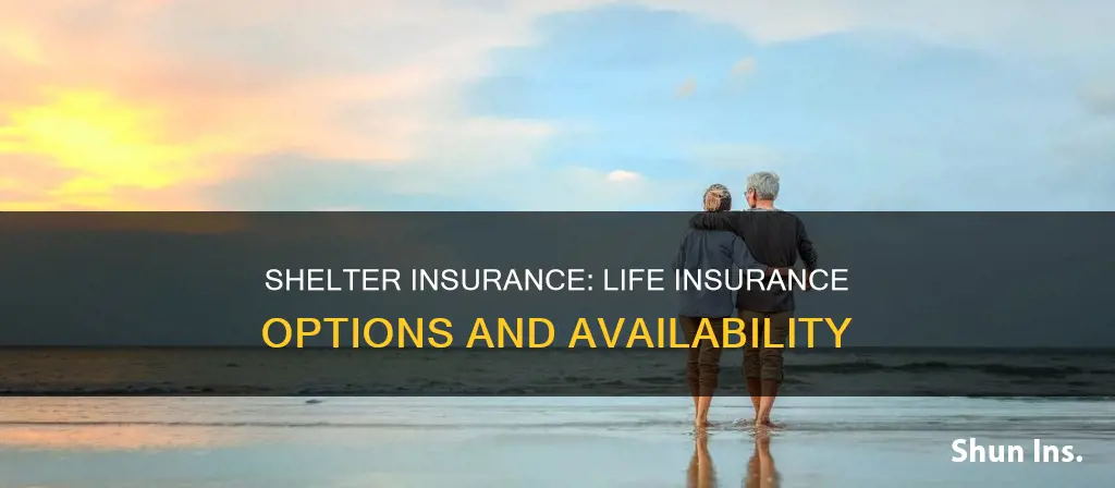 does shelter insurance offer life insurance