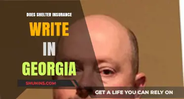 Does Shelter Insurance Offer Policies in Georgia? A Comprehensive Guide