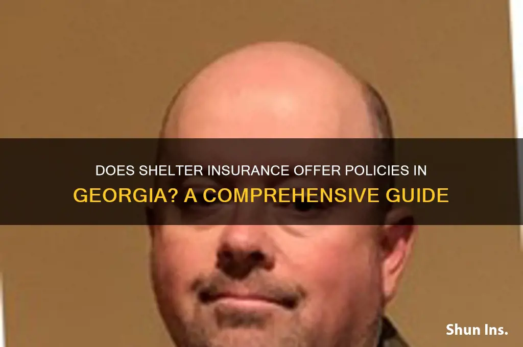 does shelter insurance write in georgia