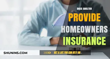 Shelter Insurance: Homeowners' Best Friend?