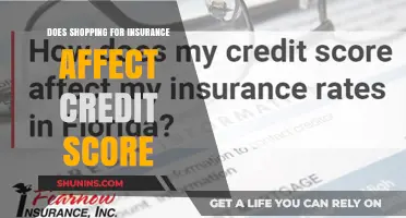 Insurance Shopping: Credit Score Impact