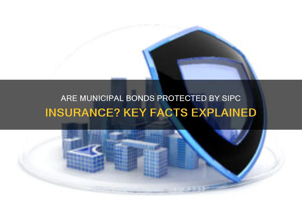 does sipc insure municipal bonds