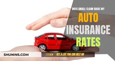 Small Claims and Auto Insurance: What's the Real Cost?