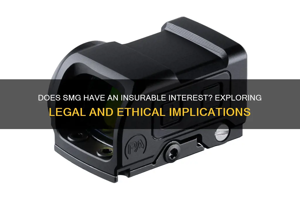 does smg have an insurable interest