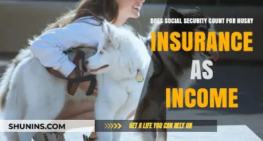 Does Social Security Income Affect Husky Insurance Eligibility?