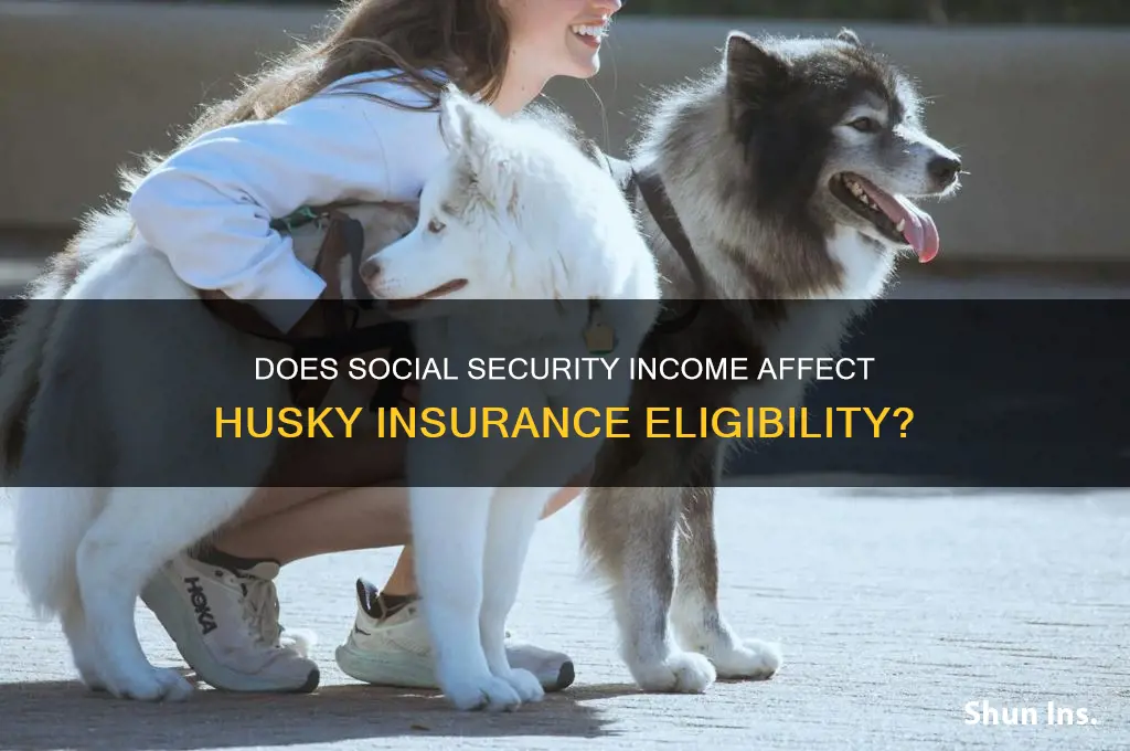 does social security count for husky insurance as income