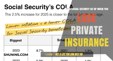 Social Security Benefits: Private Insurance Loss Impact