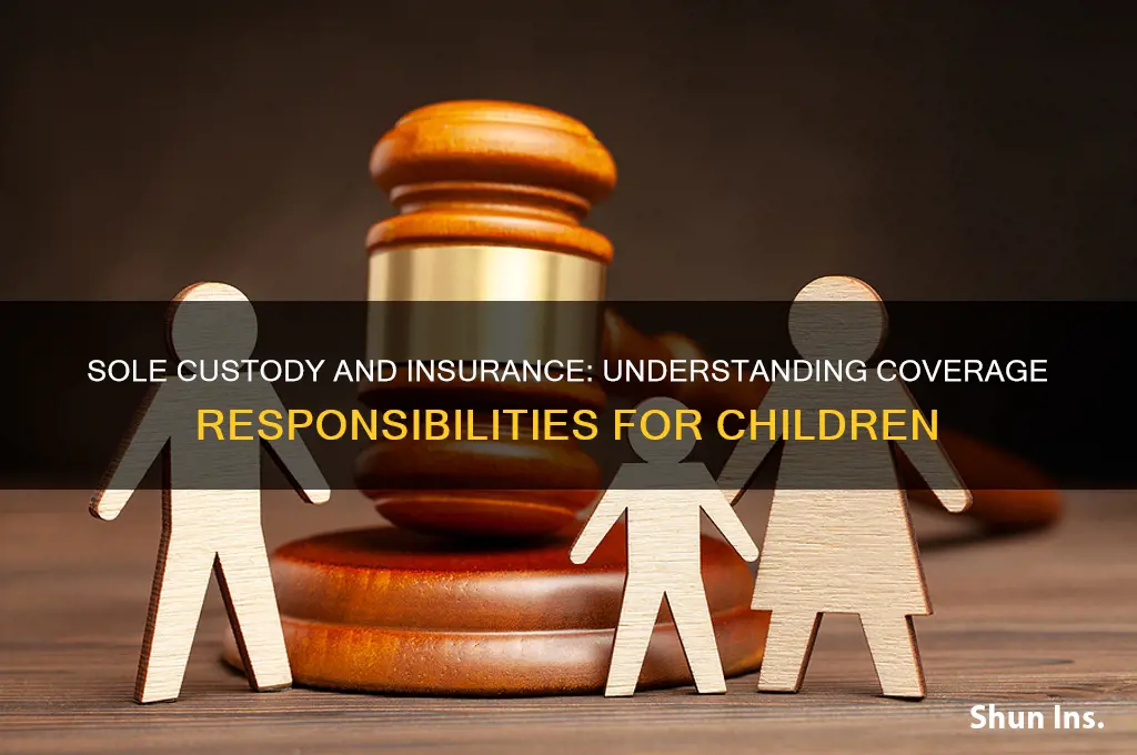 does sole custody assume insurance