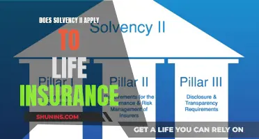 Solvency II Framework: Life Insurance Compliance Requirements