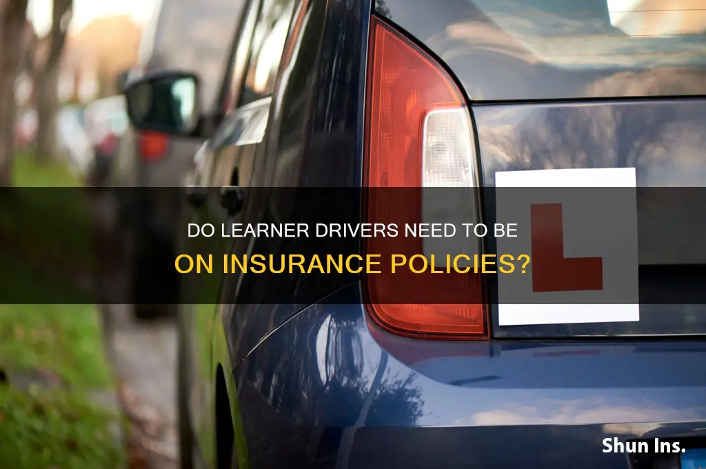 does someone with a learners have to be on insurance